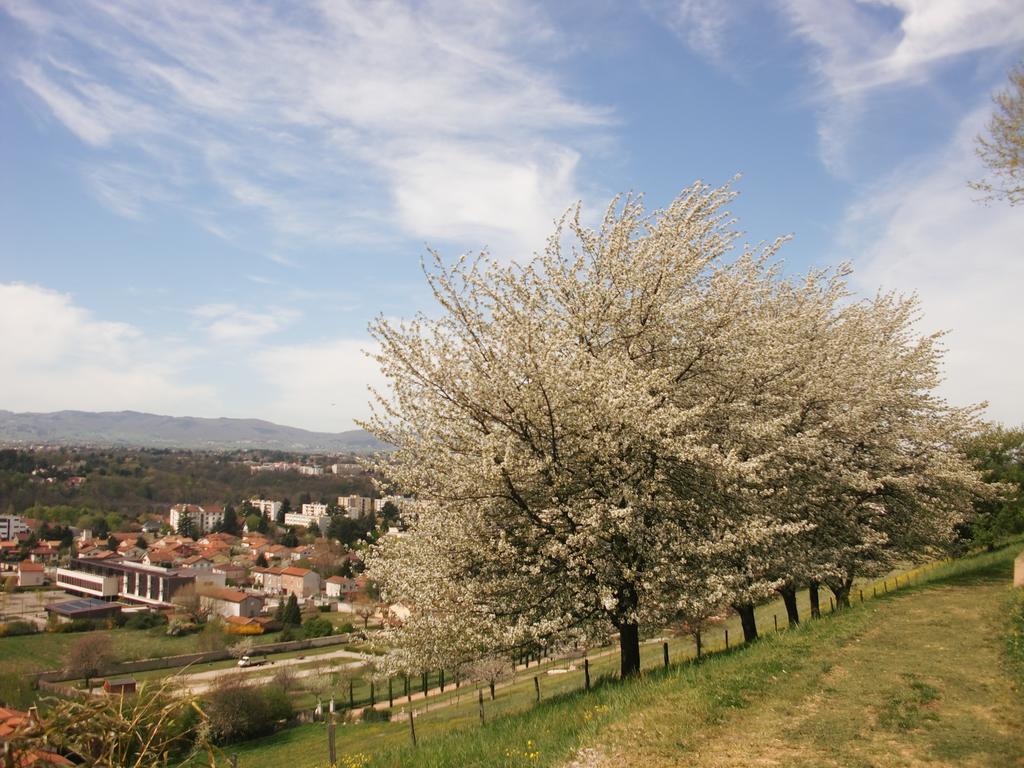 Domaine Lyon Saint Joseph Hotel Sainte-Foy-lès-Lyon Kültér fotó